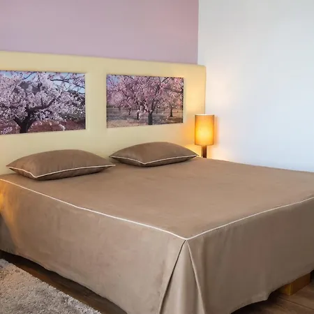 Spacious In With And Mountain View *